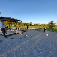 Dog Park at Olson Park photo 1